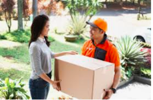 Courier Service